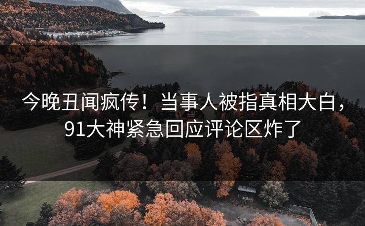 今晚丑闻疯传！当事人被指真相大白，91大神紧急回应评论区炸了