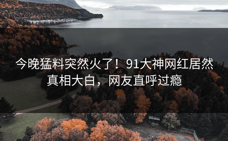 今晚猛料突然火了！91大神网红居然真相大白，网友直呼过瘾