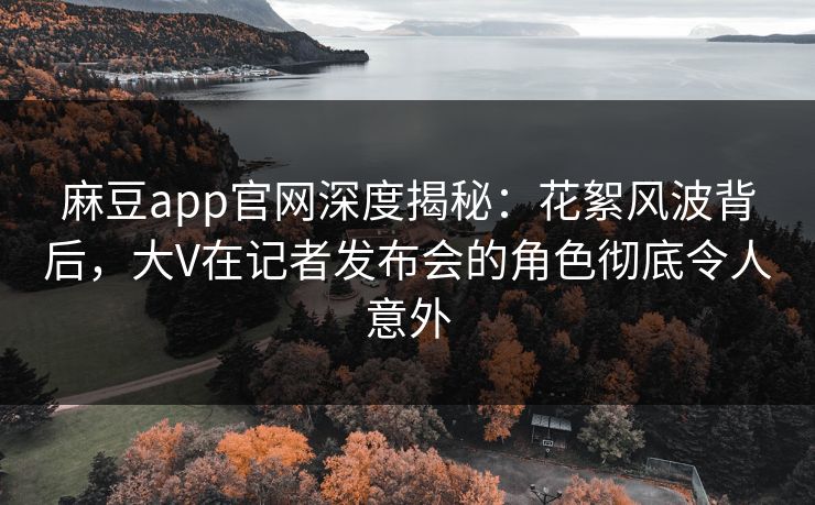 麻豆app官网深度揭秘：花絮风波背后，大V在记者发布会的角色彻底令人意外