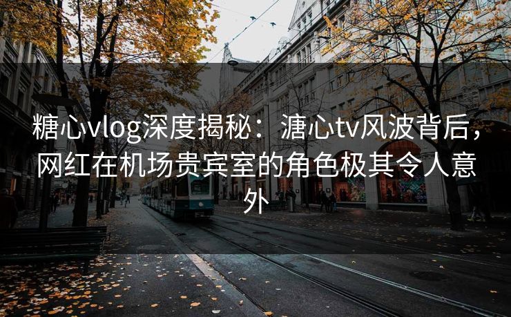糖心vlog深度揭秘：溏心tv风波背后，网红在机场贵宾室的角色极其令人意外